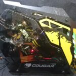 photo profil projet savanne